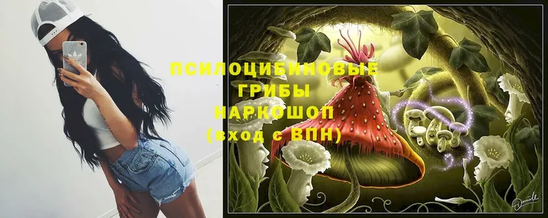 Псилоцибиновые грибы мицелий  Полтавская 